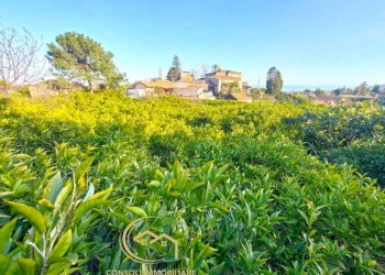 Terreno edificabile Santa Venerina - foto 7