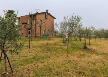 Villa Via Maceri Superiore, 1, Minerbio - foto 2