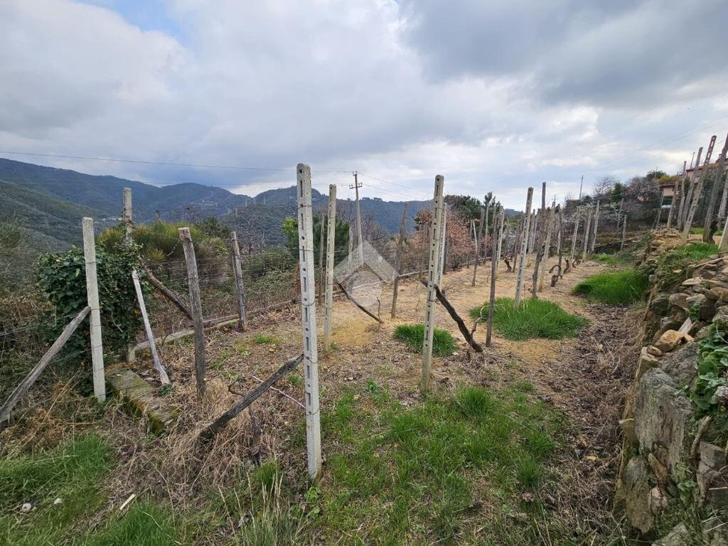 Terreno edificabile Strada privinciale Nord, Ceriana - foto 2