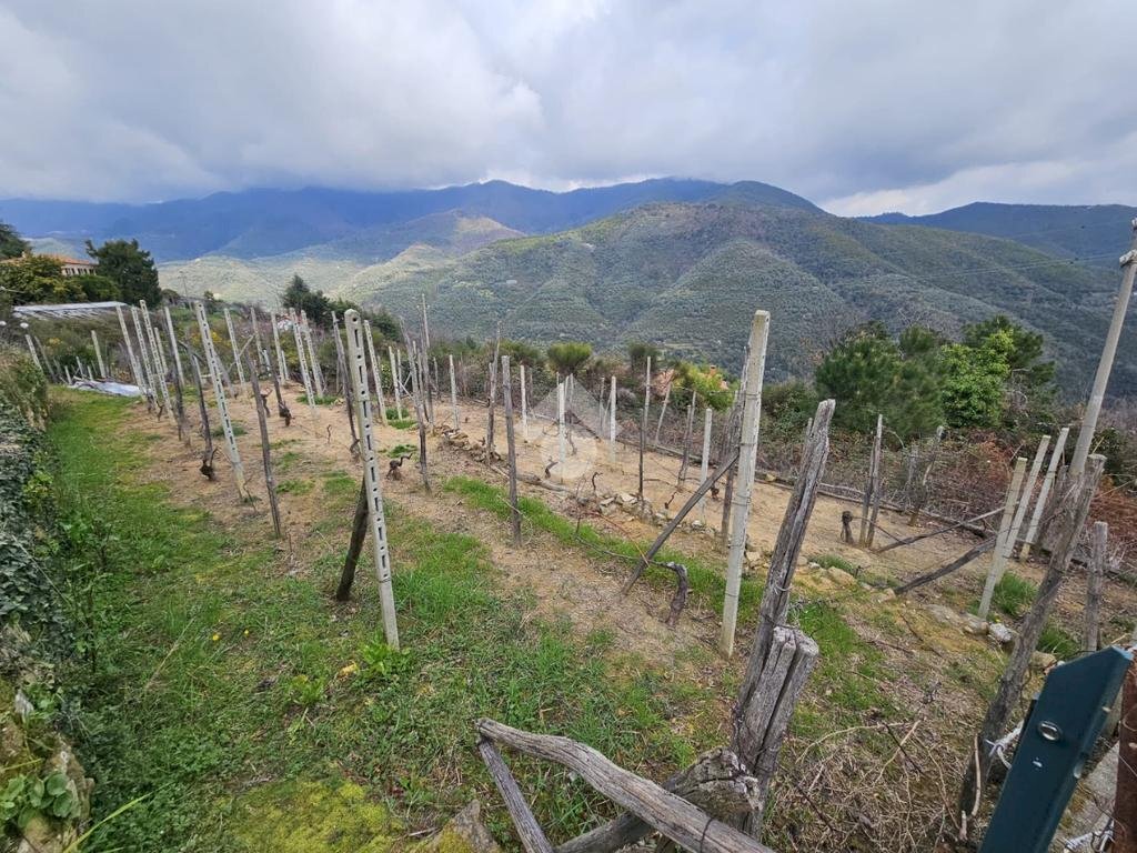 Terreno edificabile Strada privinciale Nord, Ceriana - foto 3