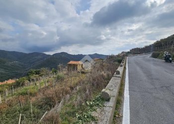 Terreno edificabile Strada privinciale Nord, Ceriana - foto 1