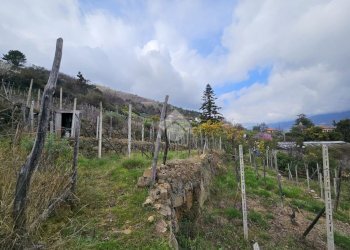 Terreno edificabile Strada privinciale Nord, Ceriana - foto 4