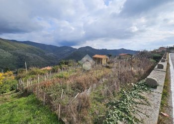 Terreno edificabile Strada privinciale Nord, Ceriana - foto 5