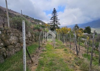 Terreno edificabile Strada privinciale Nord, Ceriana - foto 6