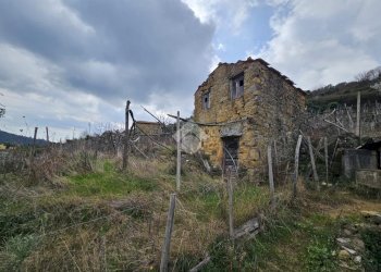 Terreno edificabile Strada privinciale Nord, Ceriana - foto 8