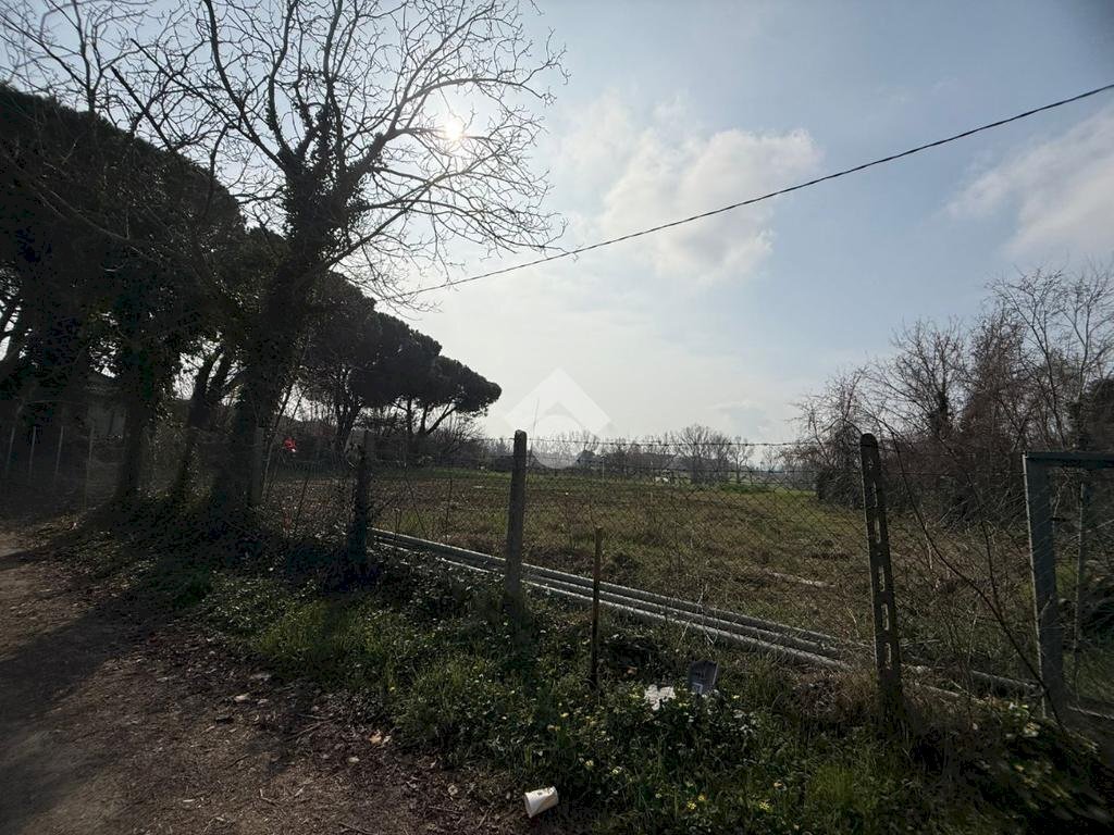 Terreno agricolo Viale Udine, Riccione - foto 1