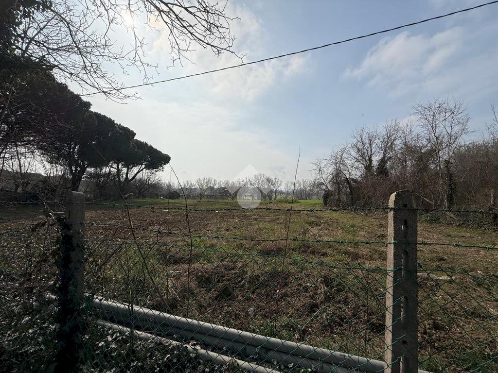 Terreno agricolo Viale Udine, Riccione - foto 2