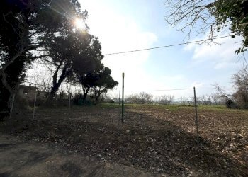 Terreno agricolo Viale Udine, Riccione - foto 4