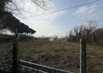 Terreno agricolo Viale Udine, Riccione - foto 9
