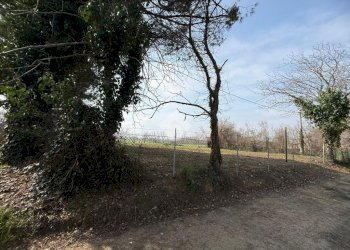 Terreno agricolo Viale Udine, Riccione - foto 10