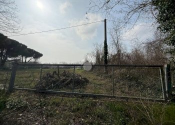 Terreno agricolo Viale Udine, Riccione - foto 11