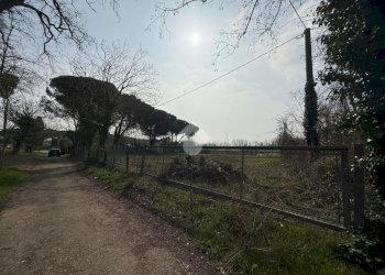 Terreno agricolo Viale Udine, Riccione - foto 13