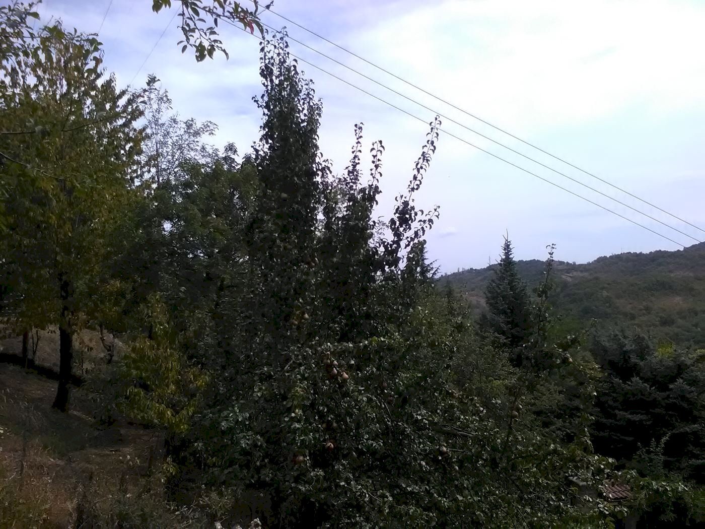 Single Family Villa ponzone, Ponzone - photo 3