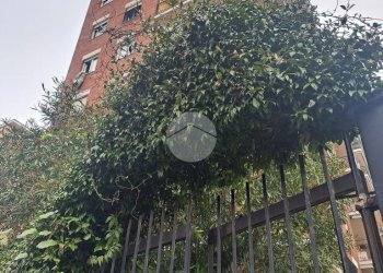 Apartment Via Chianciano, Milano (neighborhood Affori) - photo 14