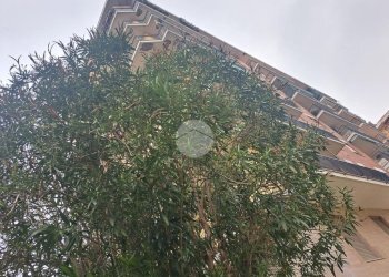 Apartment Via Chianciano, Milano (neighborhood Affori) - photo 16