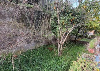 Trilocale Via Guido Agosti, Genova (zona Cornigliano) - foto 5