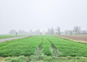 Casa semi indipendente Via Sp83, Alessandria - foto 45