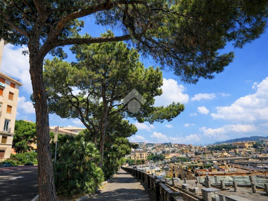 Apartment Corso Andrea Podesta', Genova (neighborhood Carignano) - photo 1