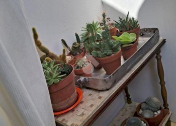 Appartamento Via alla Basilica dei Fieschi, Cogorno - foto 29