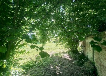 Terraced Villa Via Grande 40, Medolla - photo 12
