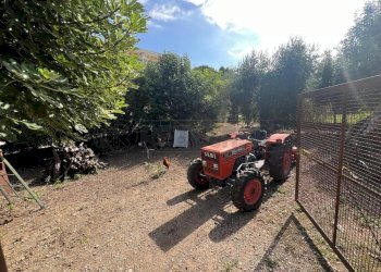 IMG-20251001-WA0005.jpg - Rustico Via Indipendenza 19, Puegnago sul Garda - foto 4