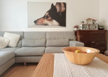 42049.jpg - Appartamento Via XXV Aprile 28, Abbadia San Salvatore - foto 2