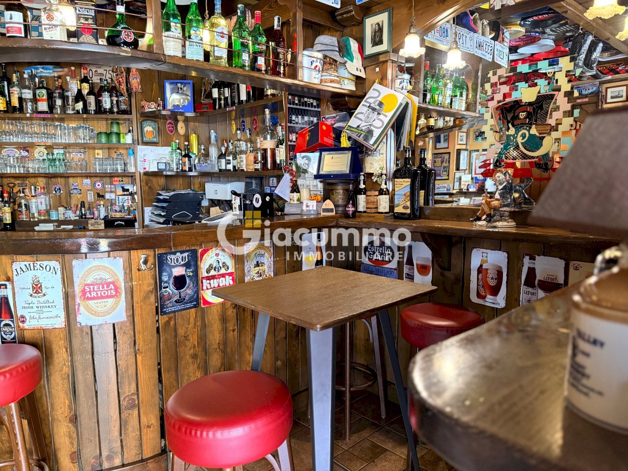 WILDCAT1.jpg - Pub - Wine Bar Viale Firenze 27, Potenza - photo 1