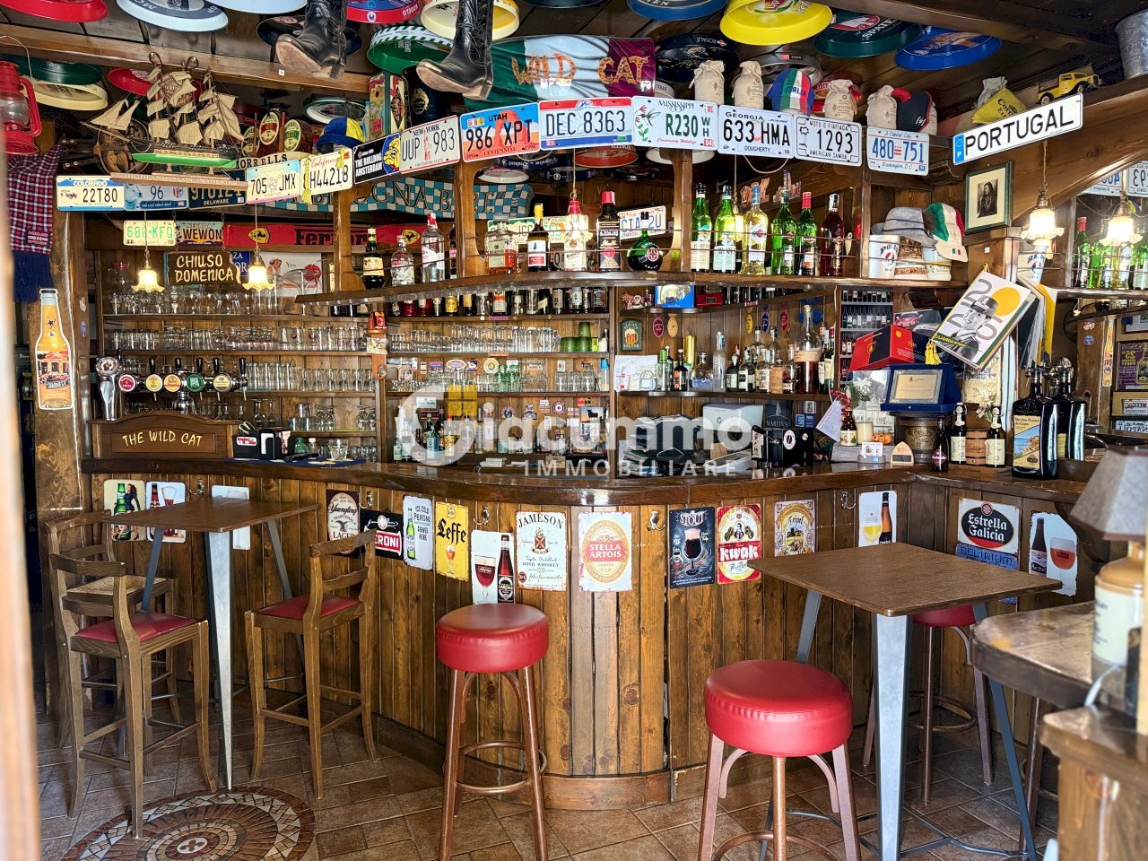 WILDCAT2.jpg - Pub - Wine Bar Viale Firenze 27, Potenza - photo 2