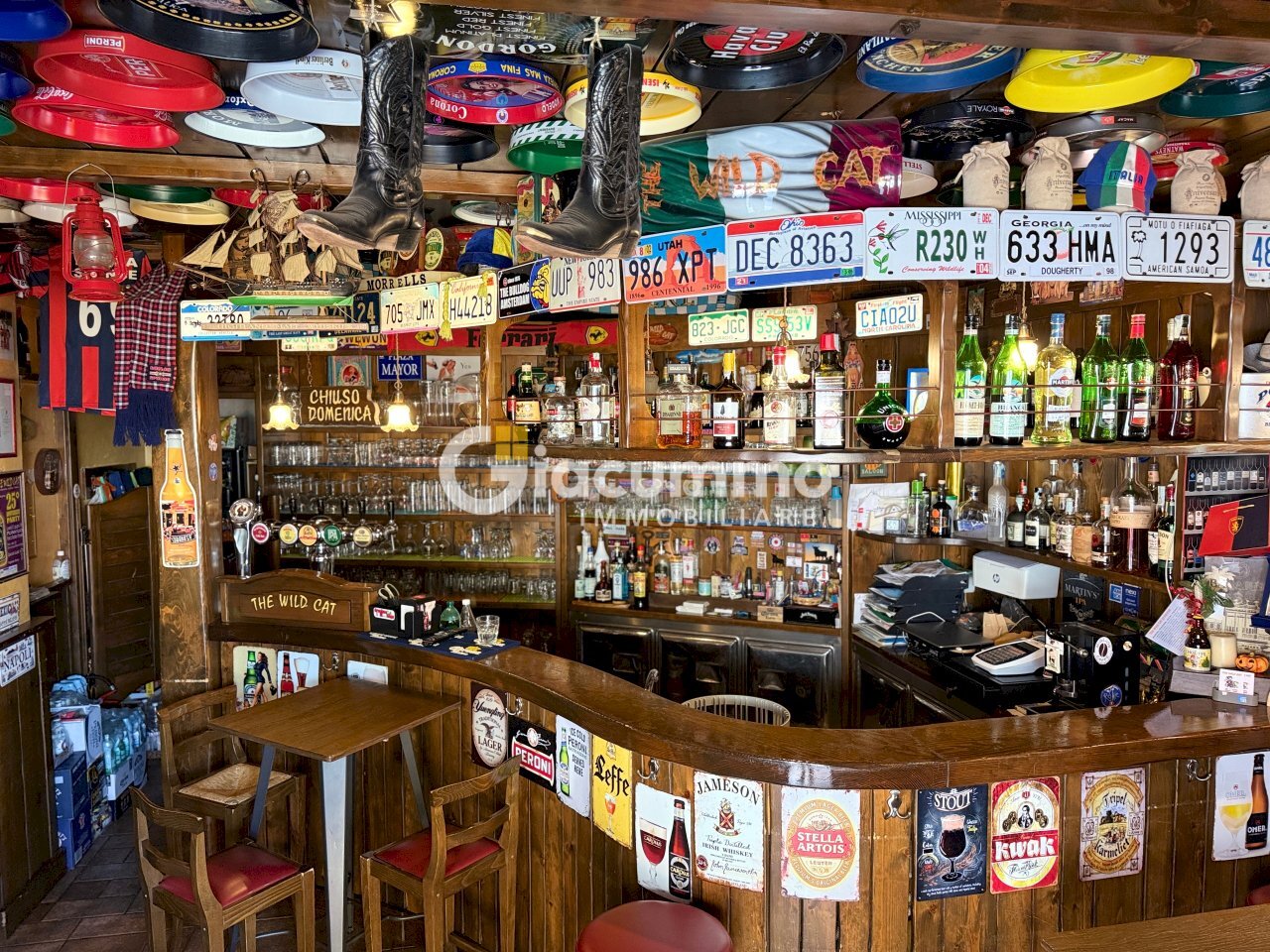 WILDCAT3.jpg - Pub - Wine Bar Viale Firenze 27, Potenza - photo 3