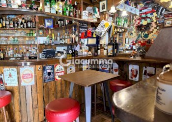 WILDCAT1.jpg - Pub - Wine Bar Viale Firenze 27, Potenza - photo 1