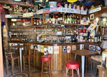 WILDCAT2.jpg - Pub - Wine Bar Viale Firenze 27, Potenza - photo 2