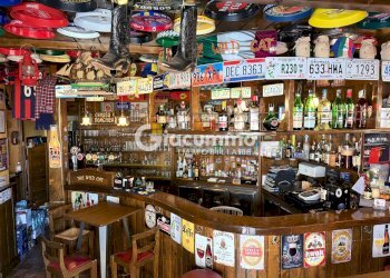 WILDCAT3.jpg - Pub - Wine Bar Viale Firenze 27, Potenza - photo 3