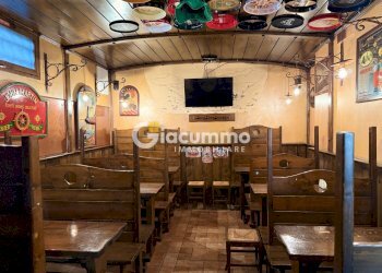 WILDCAT5.jpg - Pub - Wine Bar Viale Firenze 27, Potenza - photo 5