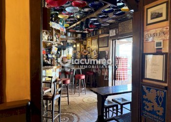 WILDCAT9.jpg - Pub - Wine Bar Viale Firenze 27, Potenza - photo 9