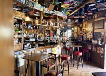 WILDCAT10.jpg - Pub - Wine Bar Viale Firenze 27, Potenza - photo 10