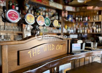 WILDCAT11.jpg - Pub - Wine Bar Viale Firenze 27, Potenza - photo 11