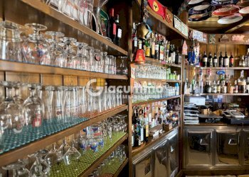 WILDCAT13.jpg - Pub - Wine Bar Viale Firenze 27, Potenza - photo 13