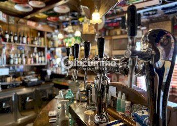 WILDCAT14.jpg - Pub - Wine Bar Viale Firenze 27, Potenza - photo 14