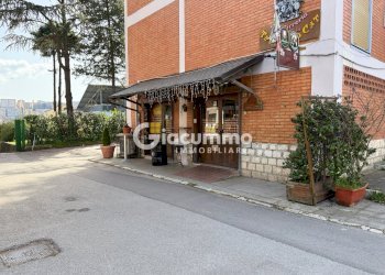 WILDCAT18.jpg - Pub - Wine Bar Viale Firenze 27, Potenza - photo 18