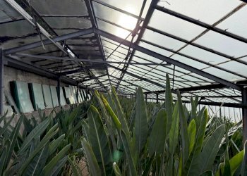 Appartamento via d'annunzio, Sanremo - foto 21