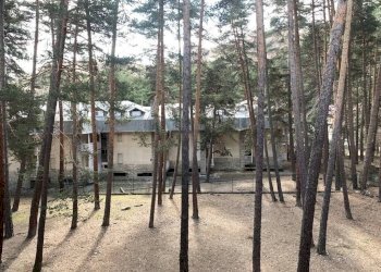 Three-room apartment Via Verdi, 2, Bardonecchia - photo 26