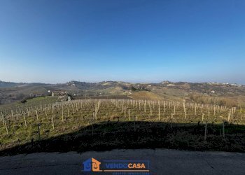 Casa indipendente Nizza Monferrato - foto 3