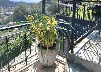 Villa Case sparse di caperana, 17
Chiavari, Chiavari - foto 76