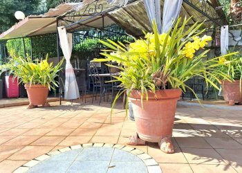 Villa Case sparse di caperana, 17
Chiavari, Chiavari - foto 77