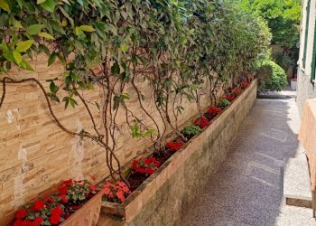 Two-room apartment Via Argiroffo 
 Chiavari, GE, Chiavari - photo 15