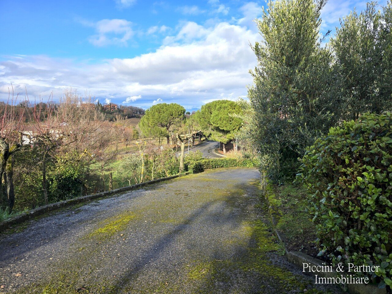 02.jpg - Independent house Via delle Terme Sud, Montepulciano - photo 2