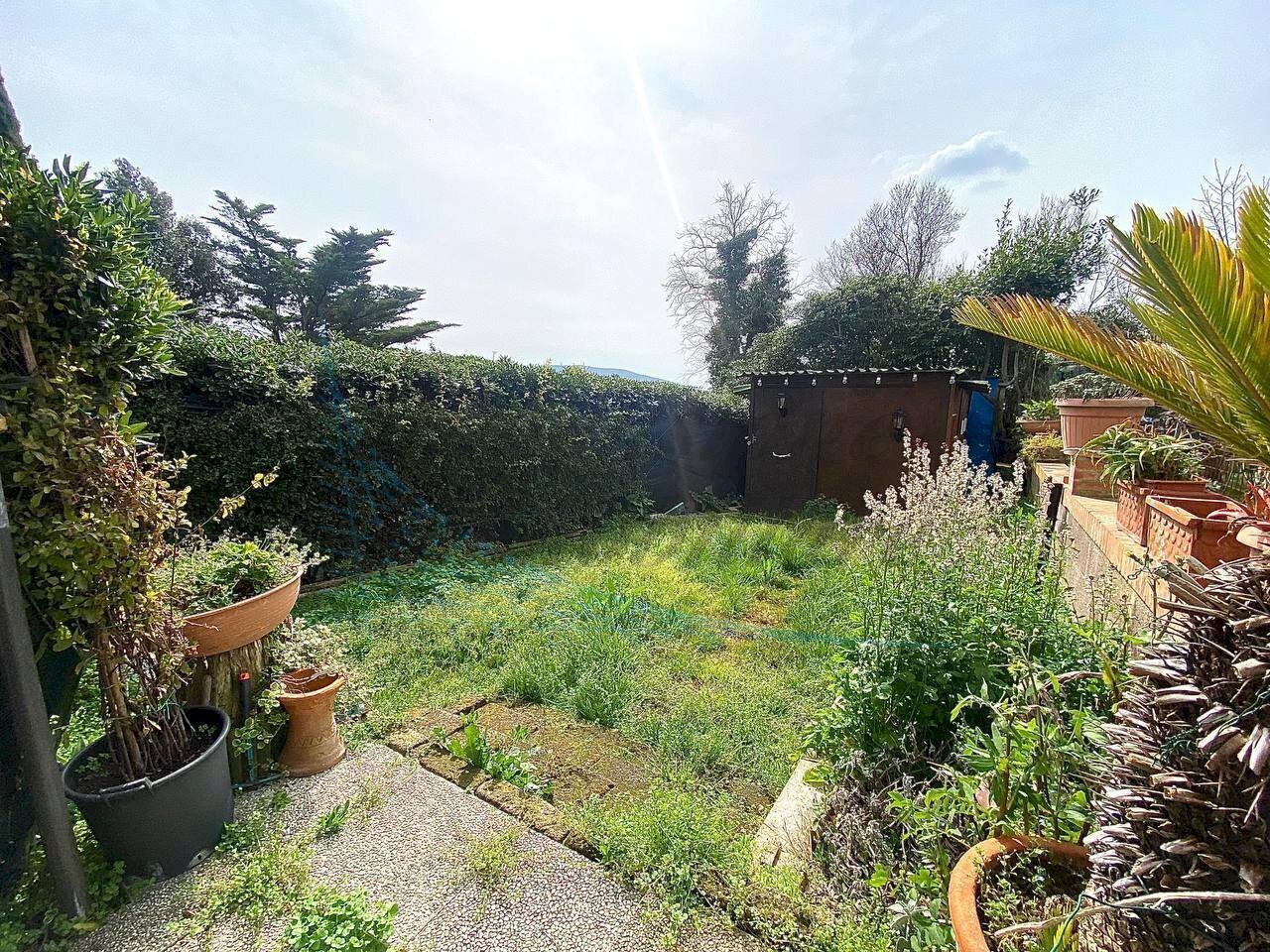 5864241564941487312.jpg - Quadrilocale Piazza Giuseppe Mazzini 2, Rosignano Marittimo - foto 1