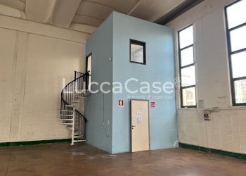 Capannone Lucca (zona San Marco) - foto 4