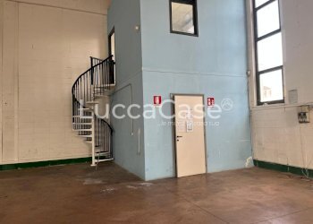 Capannone Lucca (zona San Marco) - foto 5