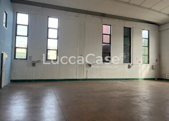 Capannone Lucca (zona San Marco) - foto 6